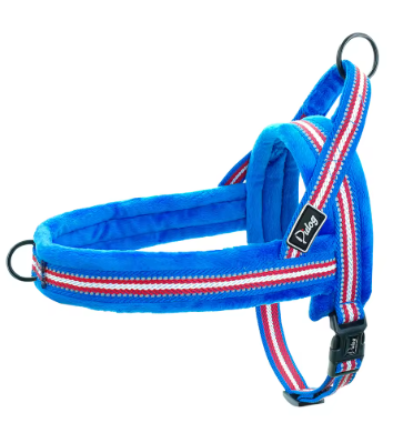 harnais pour chien | SoftMotionâą