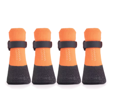 Chaussure chien | PawShield™