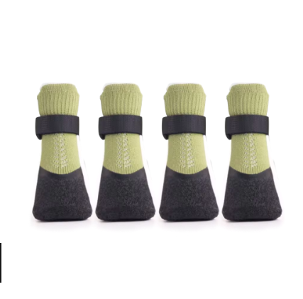 Chaussure chien | PawShield™