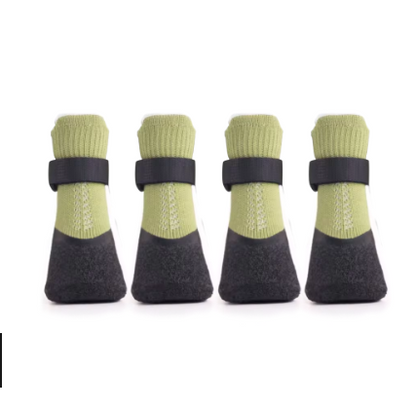 Chaussure chien | PawShield™
