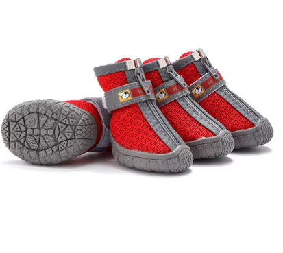 Chaussures pour chien | AllTerrain Paw™