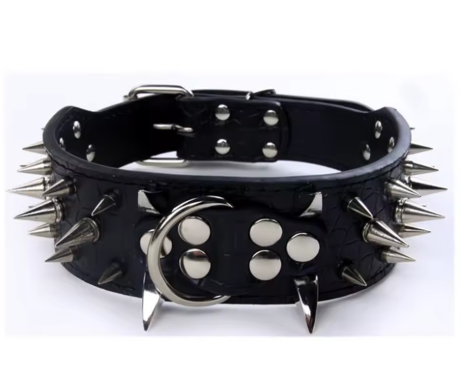 Collier chien cuir | Velvet Rebel™