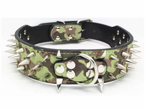 Collier chien cuir | Velvet Rebel™