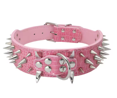Collier chien cuir | Velvet Rebel™