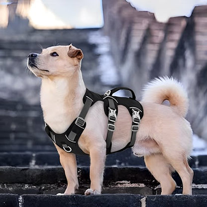 Harnais pour chien balade noir
