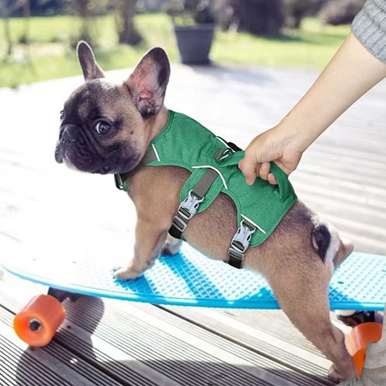 Harnais pour chien maxi confort