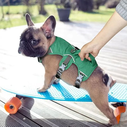 Harnais pour chien maxi confort