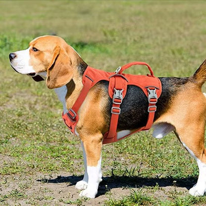 Harnais pour chien rouge confortable