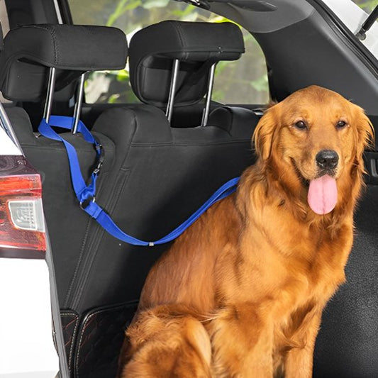 Laisse chien securiter voiture