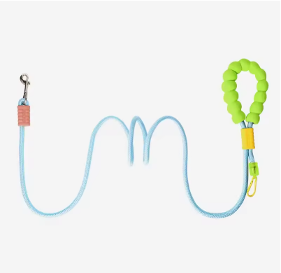 Laisse pour Chien | Smooth Walk™
