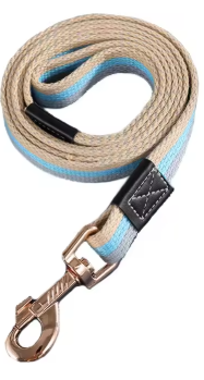 Laisse pour Chien | Iconic Paw™