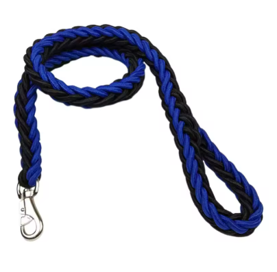 Laisse pour Chien | ForcePaw™