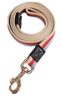 Laisse pour Chien | Iconic Paw™