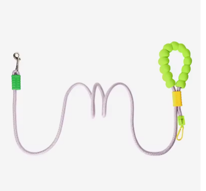 Laisse pour Chien | Smooth Walk™