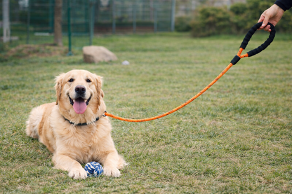 Laisse pour chien | Liberty Rope™