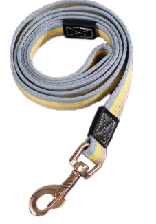 Laisse pour Chien | Iconic Paw™