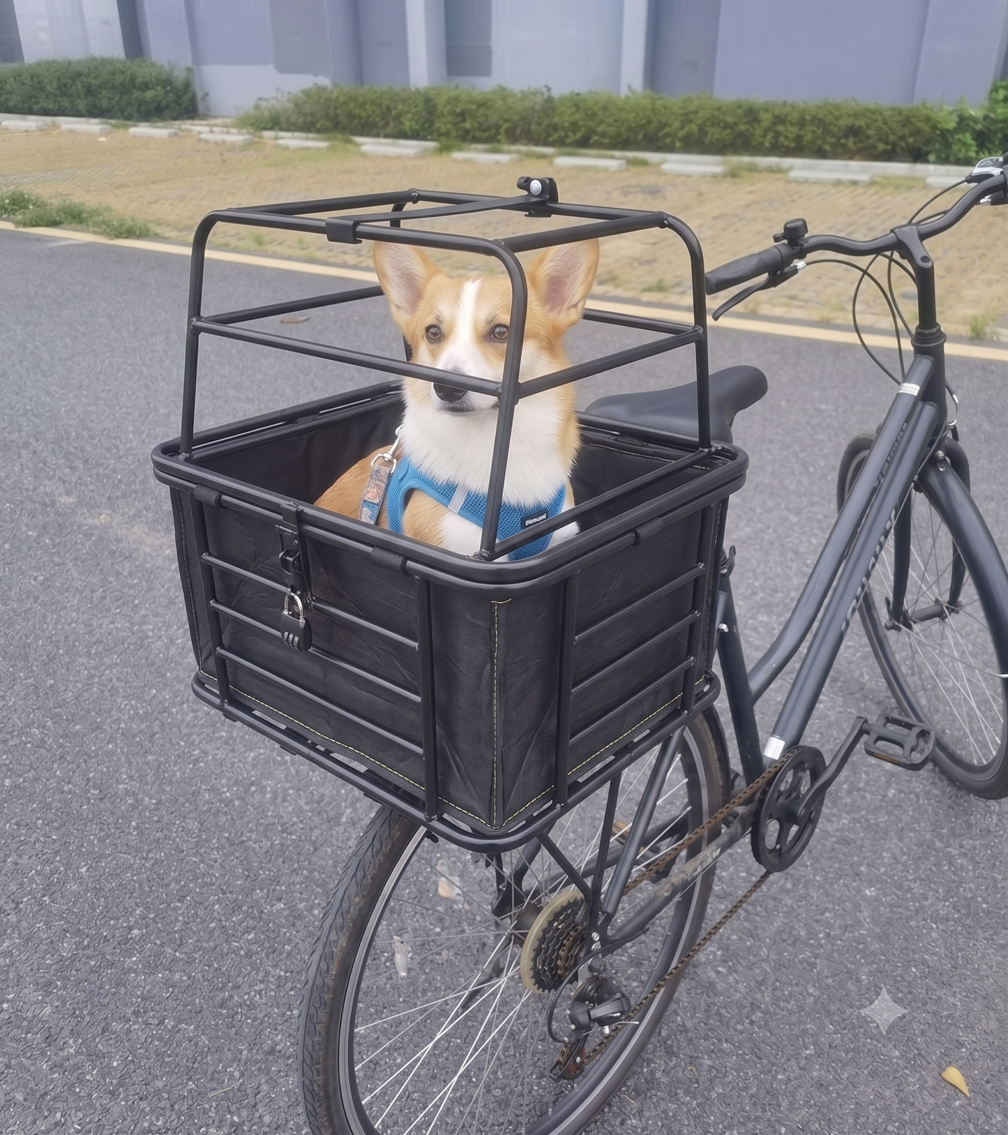 Panier velo chien | DoggyRide™
